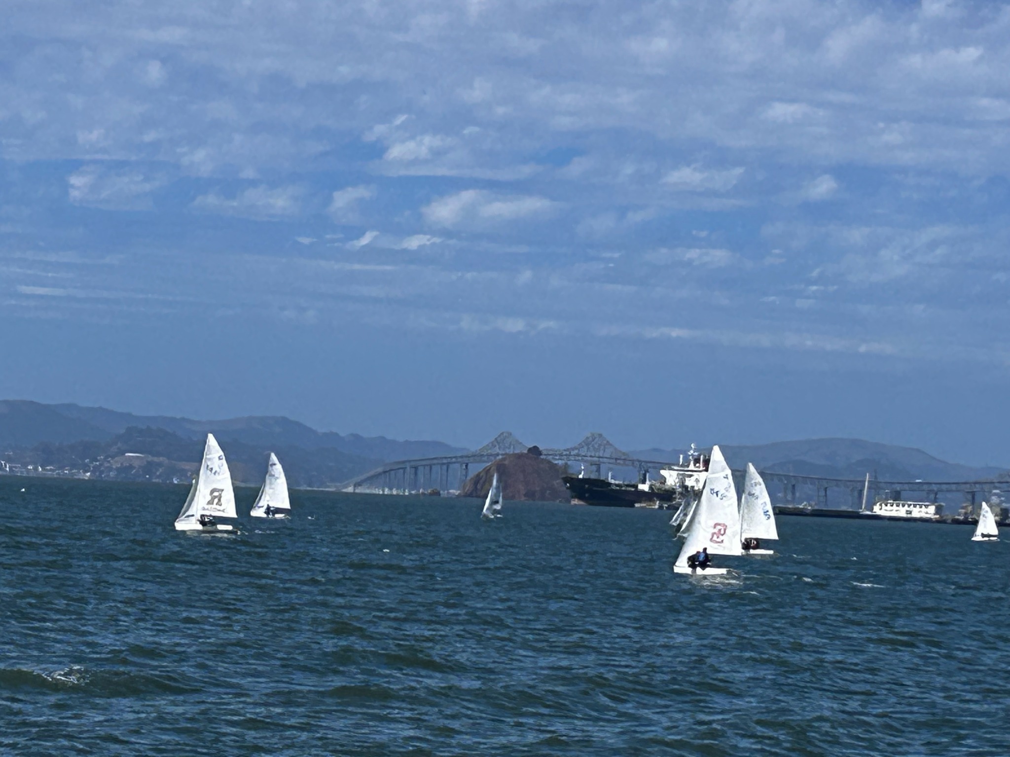 A fleet of high school sailboats on the Bay with a bridge and ship in the background
